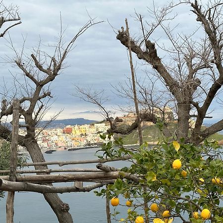 La Casa Dei Sogni Villa Procida Kültér fotó