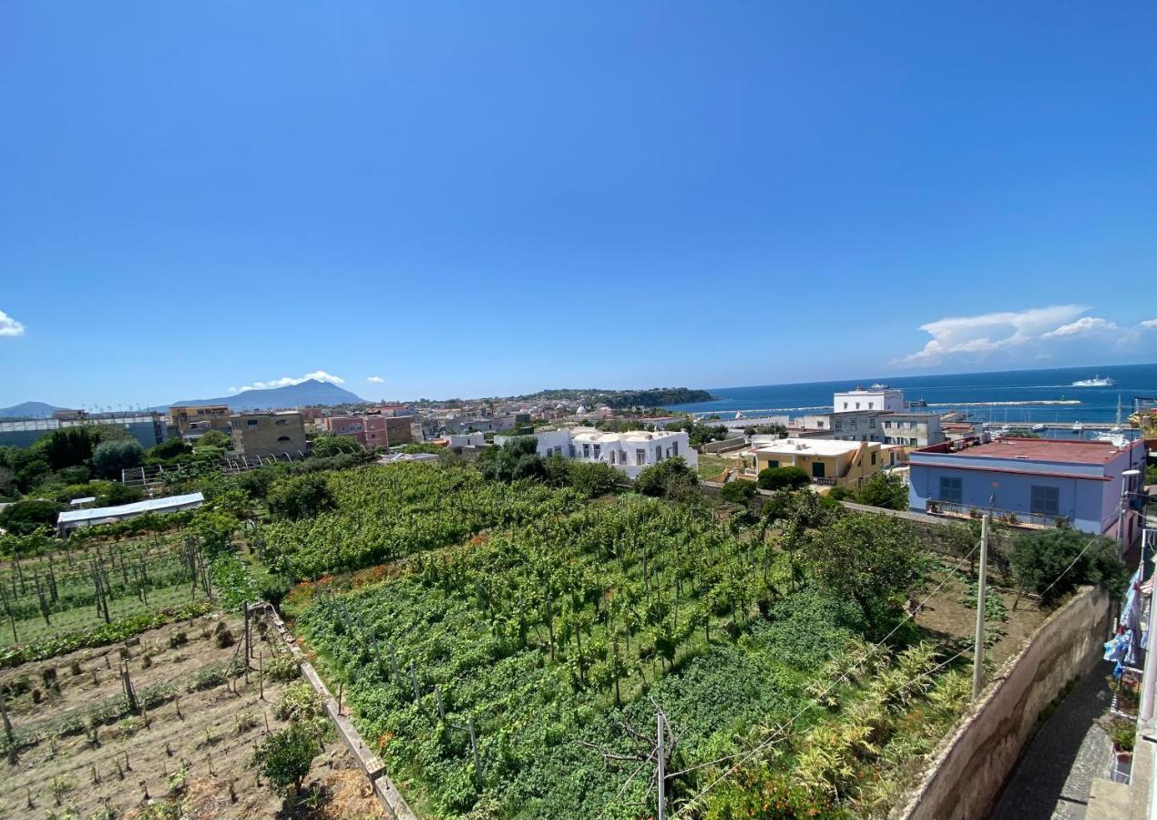 La Casa Dei Sogni Villa Procida Kültér fotó