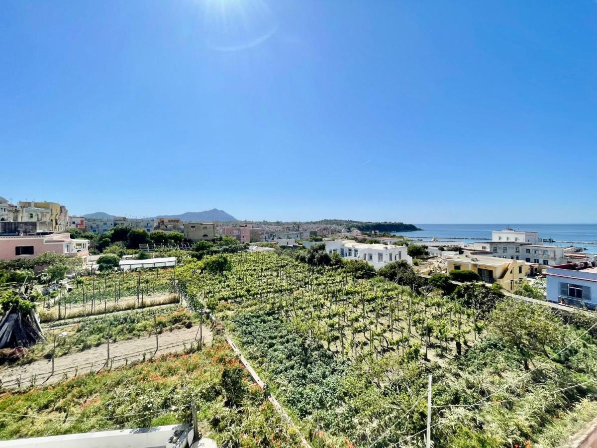 La Casa Dei Sogni Villa Procida Kültér fotó