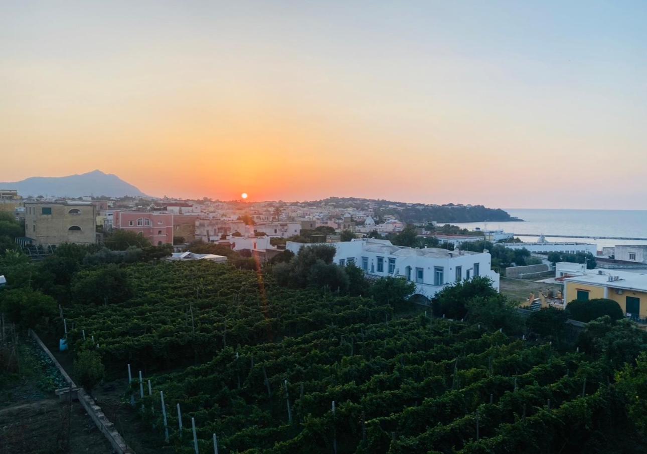 La Casa Dei Sogni Villa Procida Kültér fotó