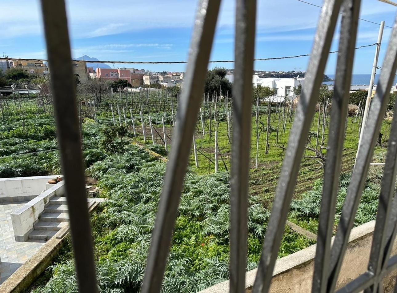 La Casa Dei Sogni Villa Procida Kültér fotó