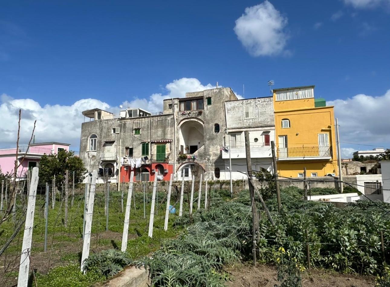 La Casa Dei Sogni Villa Procida Kültér fotó